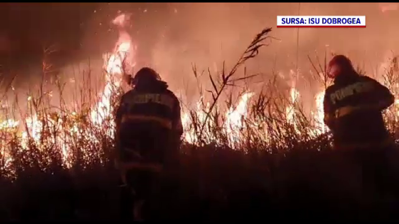 Incendiu uriaș în Delta Dunării. Pompierii nu își explică de la ce a pornit focul
