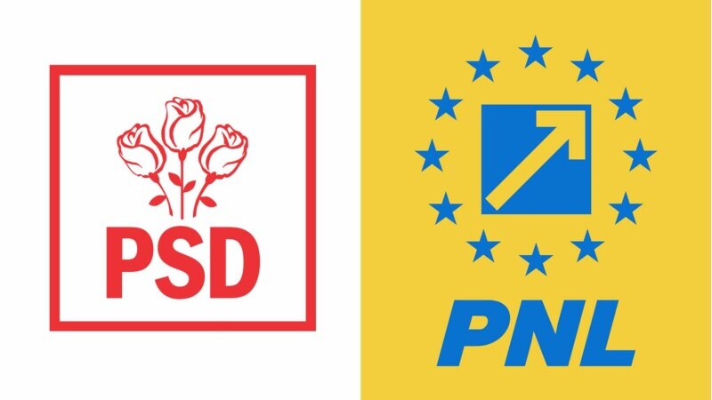 sigla PSD PNL