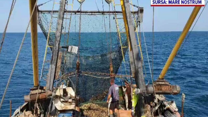 Jumătate de tonă de plase abandonate, colectate de pe litoralul Mării Negre. Erau un pericol pentru toate vietățile marine