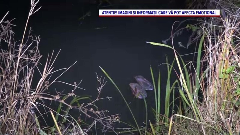 copii inecati vaslui