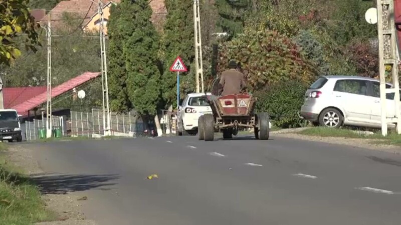 C&acirc;ine ucis Mureș