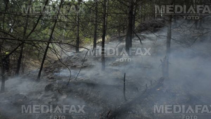 Buzau: un incendiu le-a dat batai de cap pompierilor