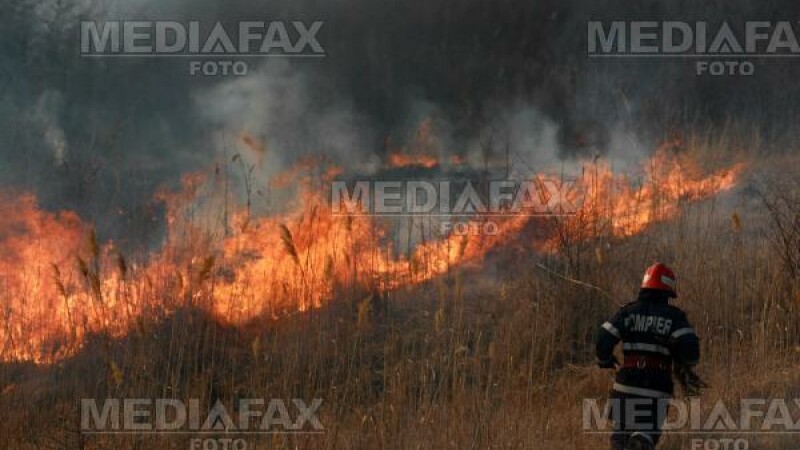 Pericol de explozie la Dambovita: mai multe hectare de vegetatie au luat foc