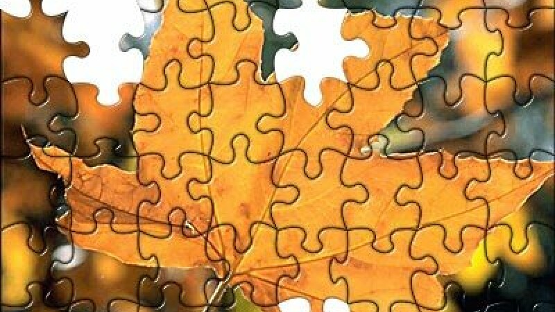 Un milion de piese de puzzle, noul record mondial