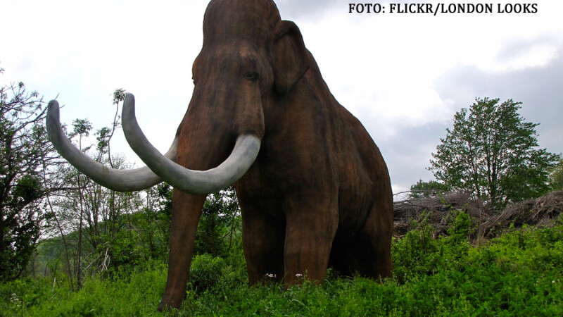 mamut de plastic intr-un parc