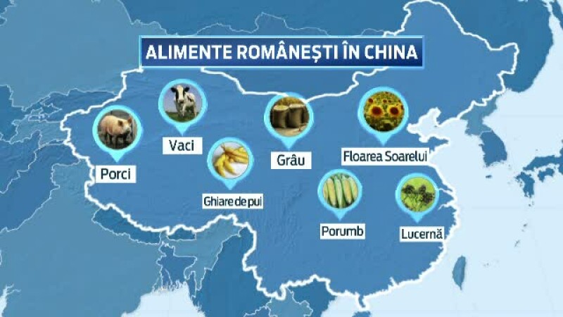 chinezi, vaci, romanesti