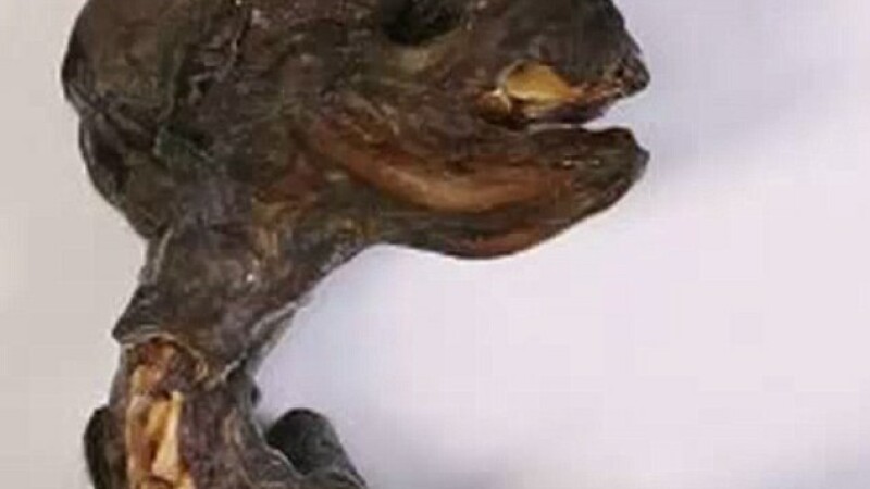extraterestru