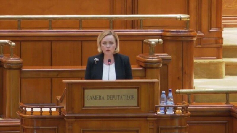 Carmen Dan în Parlament