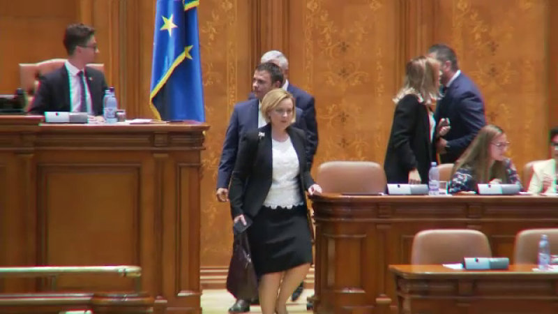 Carmen Dan in Parlament