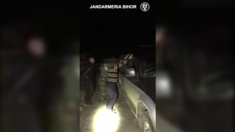 Vânătoare ilegală în Bihor. Descoperirea făcută de jandarmi în mașina unor indivizi