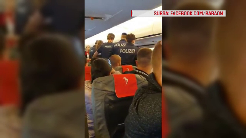 jesu li psi dopušteni na zelenom aerodromu u providenceu