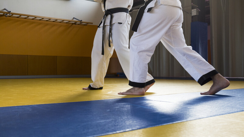 judo