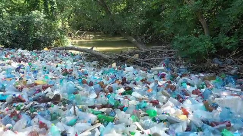 Ciorogârla, sufocată de peturi care vor ajunge în deltă. Reacția halucinantă a Apelor Române: ”Peturile nu sunt o poluare”