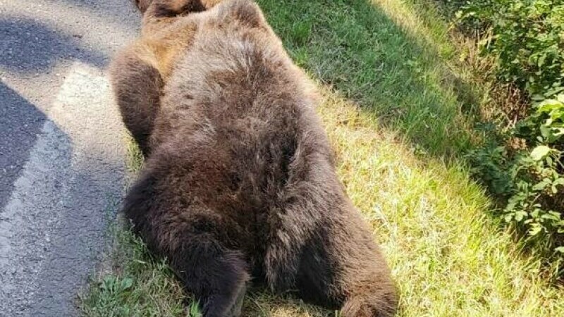 urs mort