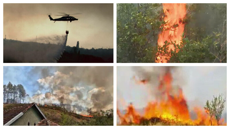 incendii de vegetație