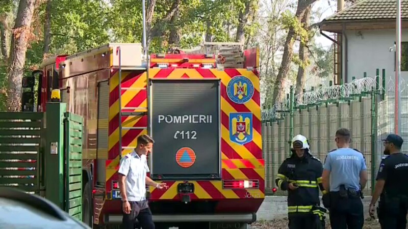 Incendiu Zoo București