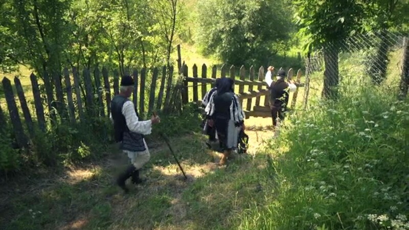 Ținutul Momârlanilor