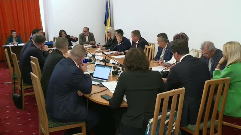 comisie, Parlament, Senat