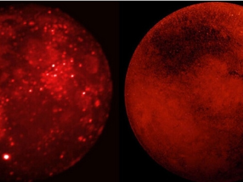 foto tigai nasa - 2