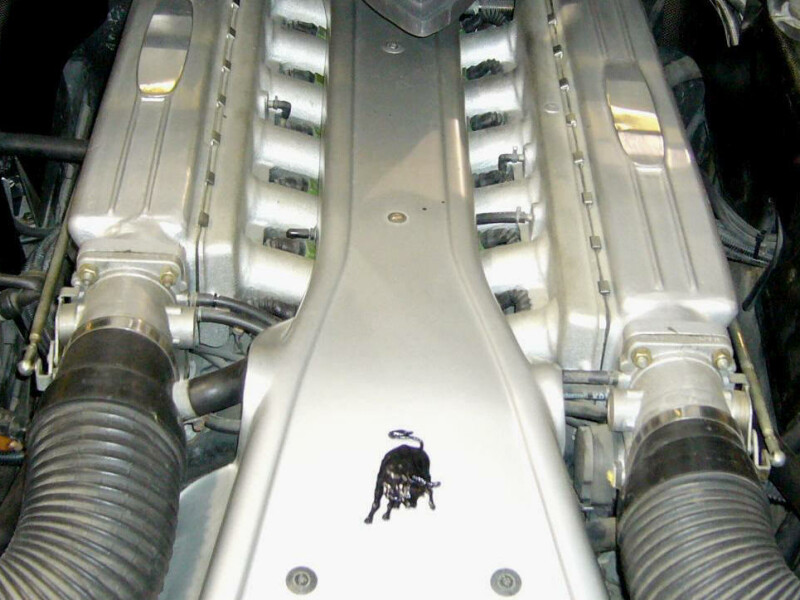 Lamborghini Pregunta - 12