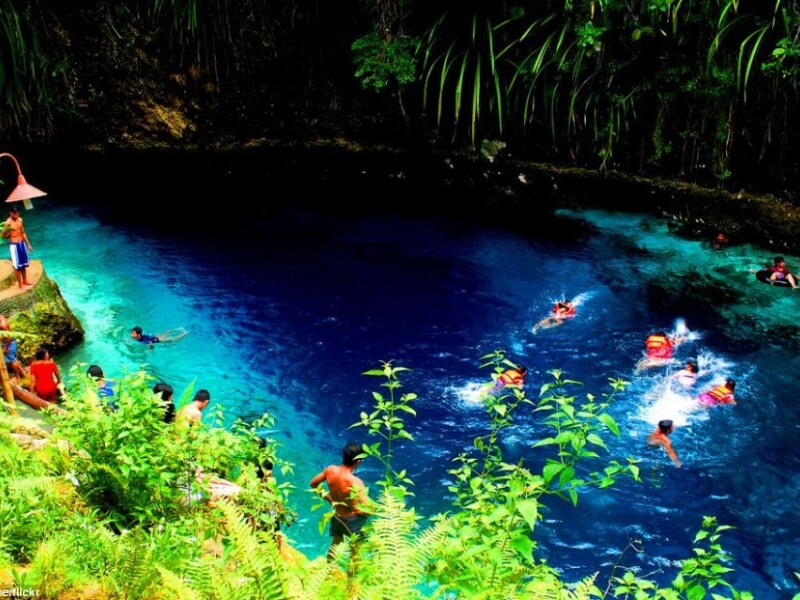 paradis tropical