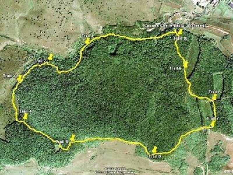o padure din transilvania