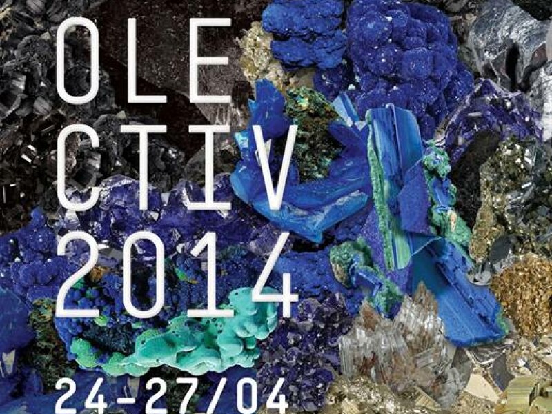 Rokolectiv 2014