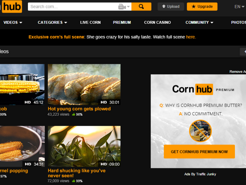 Ce s-a intamplat cu cel mai cunoscut site XXX de 1 aprilie. Farsa geniala :)
