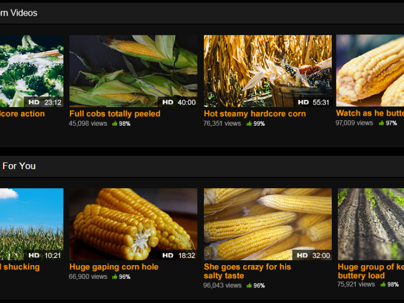 Ce s-a intamplat cu cel mai cunoscut site XXX de 1 aprilie. Farsa geniala :)