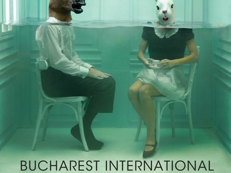 Bucharest International Experimental Film Festival - BIEFF 2014