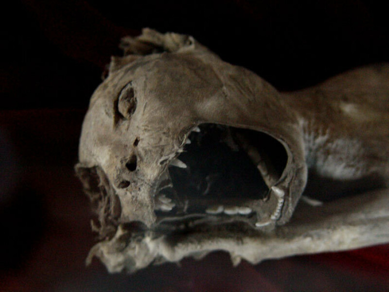 mummy - 1