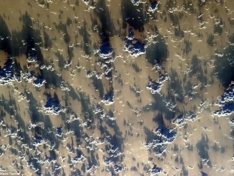 Chris Hadfield