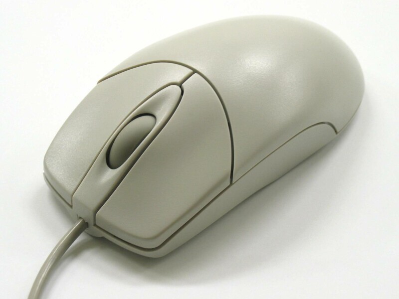 mouse