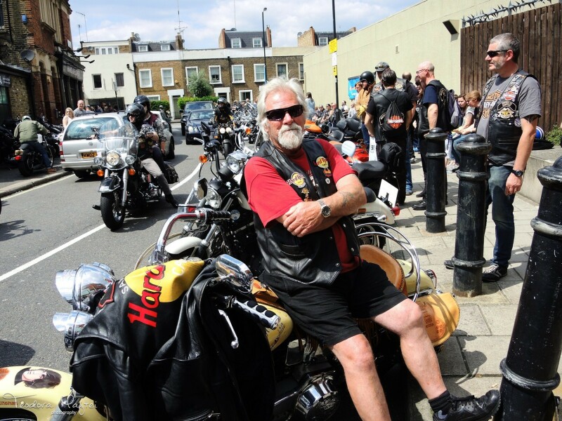 Harley - Davidson - 22