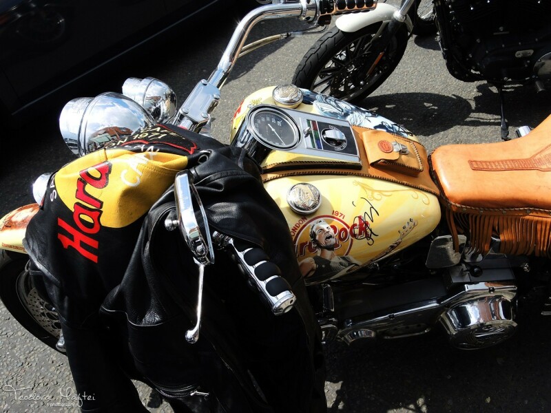 Harley - Davidson - 25