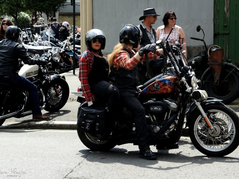 Harley - Davidson - 28