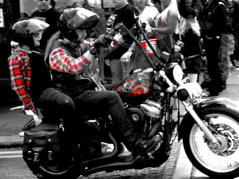Harley - Davidson - 30