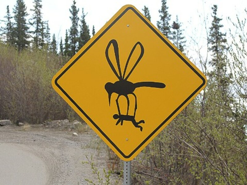 Alaska