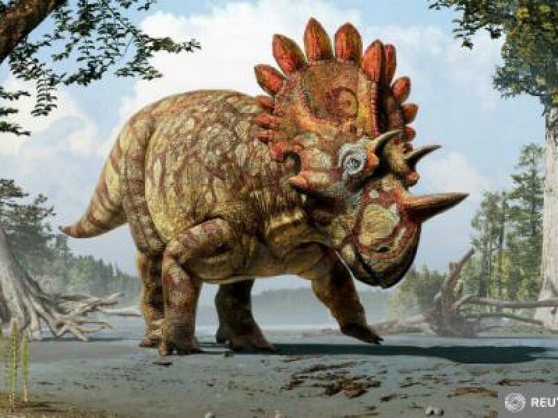 dinozaur descoperire