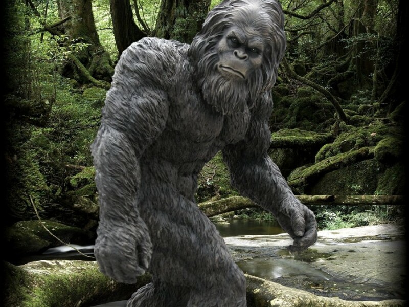 Big Foot
