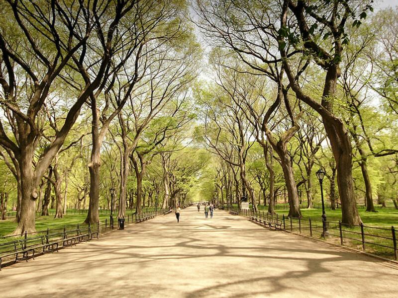 Central Park, New York City