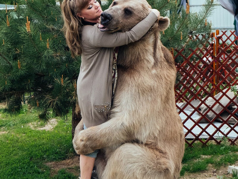 Familia care traieste in casa cu cel mai neasteptat animal de companie: un urs de 400 de kilograme | FOTO