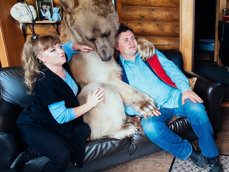 Familia care traieste in casa cu cel mai neasteptat animal de companie: un urs de 400 de kilograme | FOTO