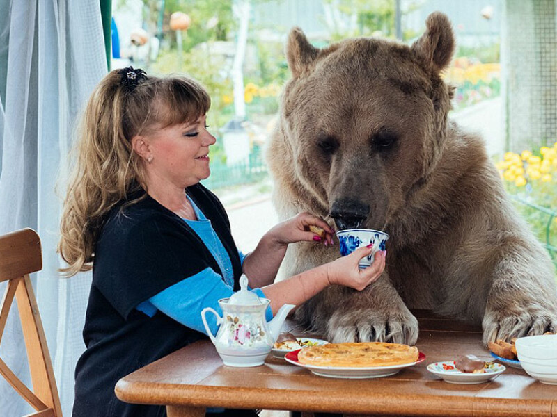 Familia care traieste in casa cu cel mai neasteptat animal de companie: un urs de 400 de kilograme | FOTO