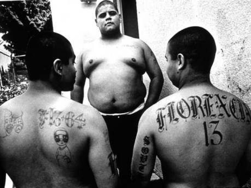 Mafia Mexicana