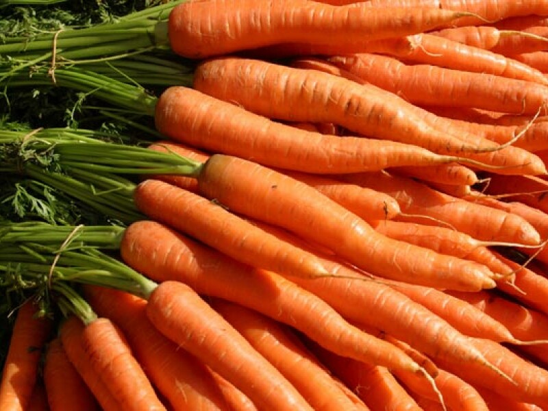 legume