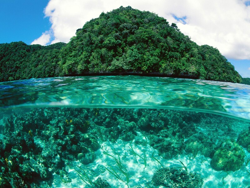 paradis - 2