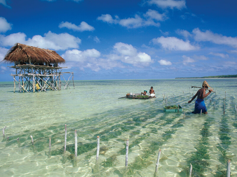 paradis - 3