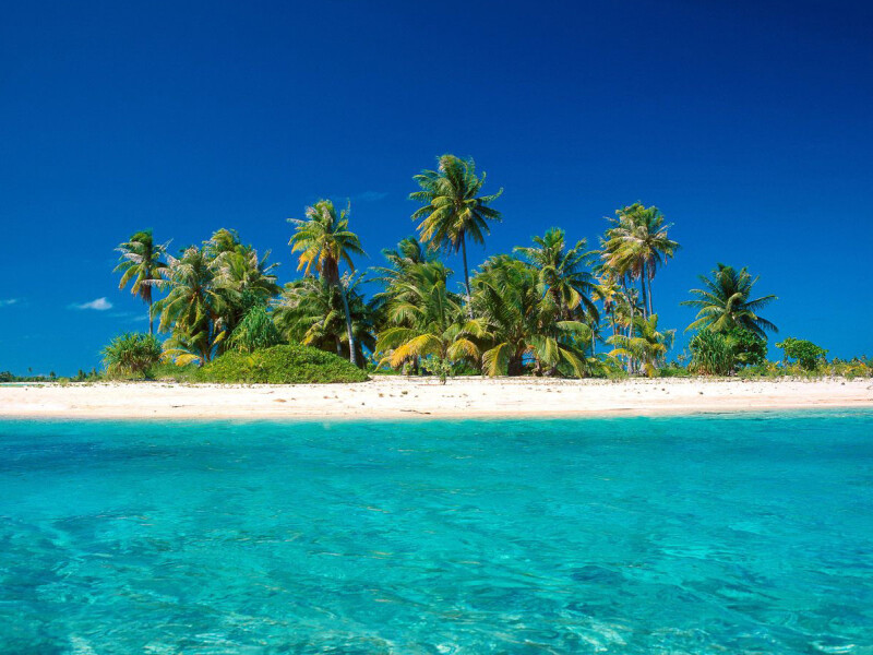 paradis - 8
