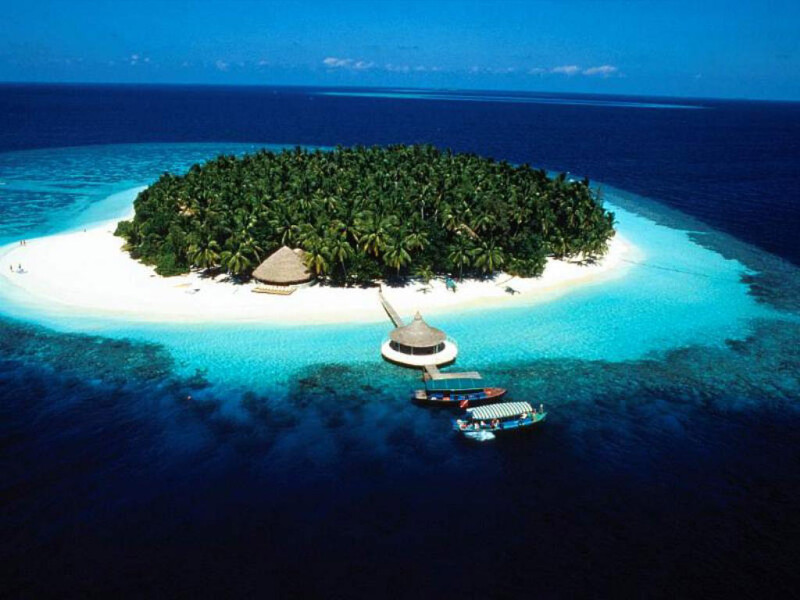 paradis - 9
